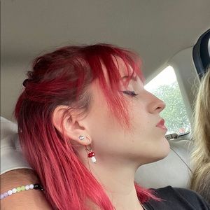 Meet your Posher, Fox